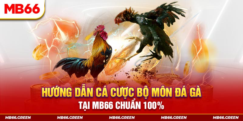 sunwin kết quả xổ số miền bắc ngày hôm nay