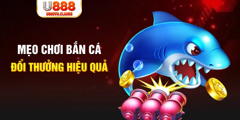 sunwin gà chọi cam ranh