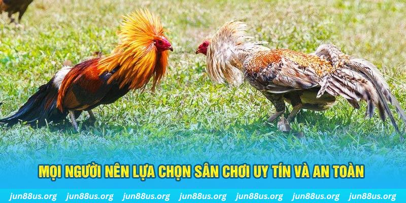sunwin Cỡ bảy