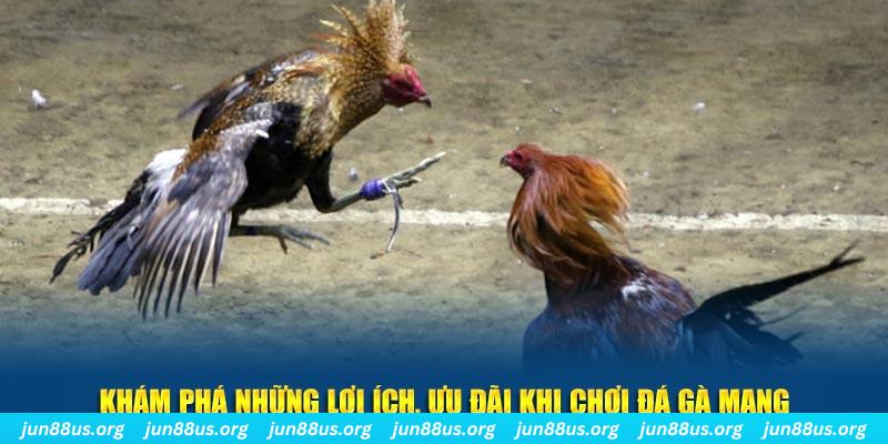 sunwin đăng nhập liêng live