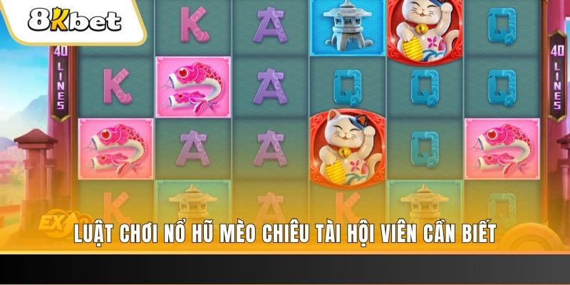 sunwin gà chọi cu cần