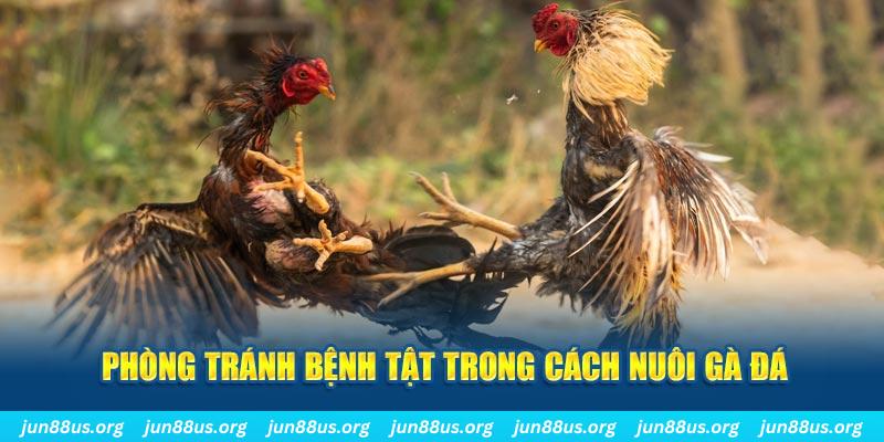 sunwin Bài Poker Bonus