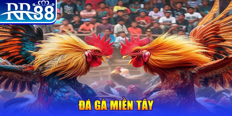 sunwin người chia bài trong casino gọi là gì