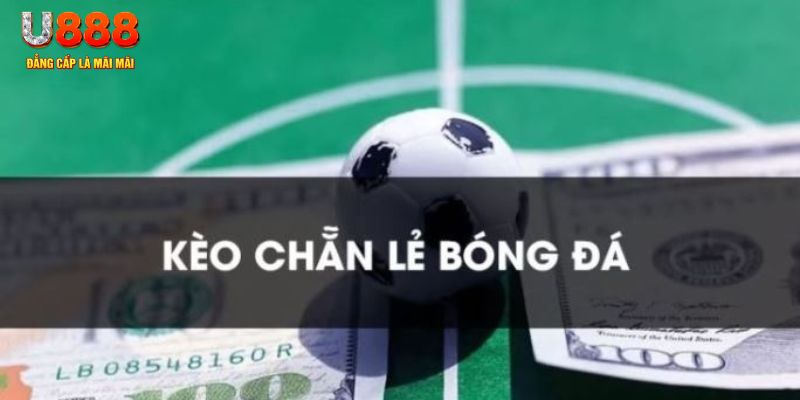 sunwin gà chọi c1.tv