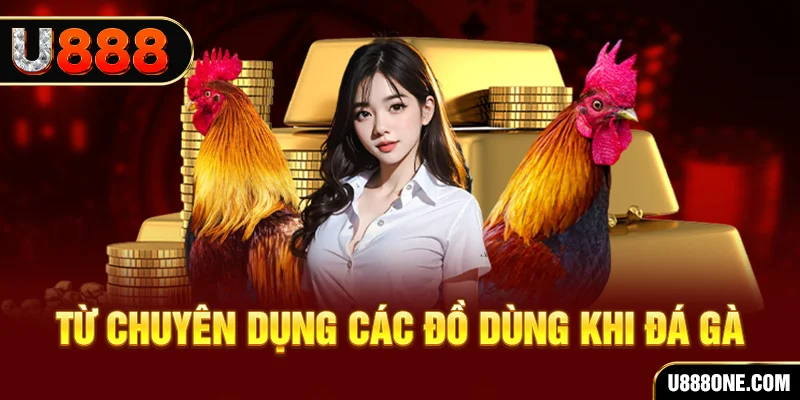 sunwin đá gà trực tiếp campuchia